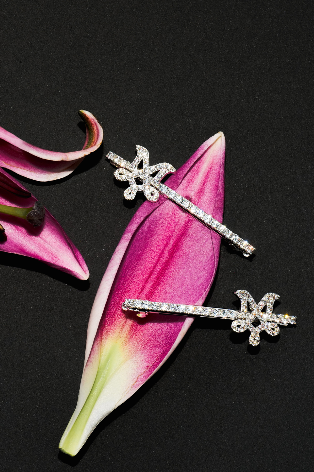 M Spring Hair Clips